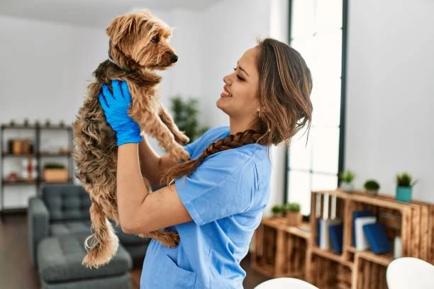 Atendimento veterinário em casa