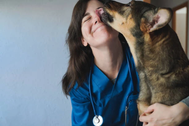 Veterinário domiciliar em São Paulo